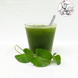 HẠT RAU MÁ - GÓI 1 GRAM