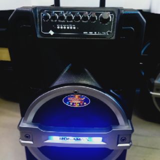 LOA RONAMAX T12 3 TẤC