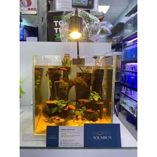 Đèn rọi 3 chế độ màu kaokui kk-f03 10w