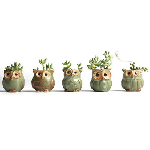 Chậu cây cảnh bằng sứ hình chim cú