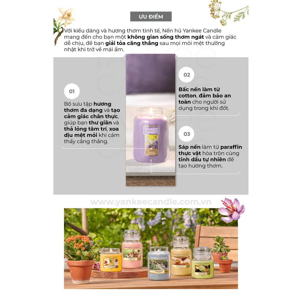 [Mã LIFEMALL991 giảm 10% đơn 99K] Nến hũ Yankee Candle size M - Bahama Breeze