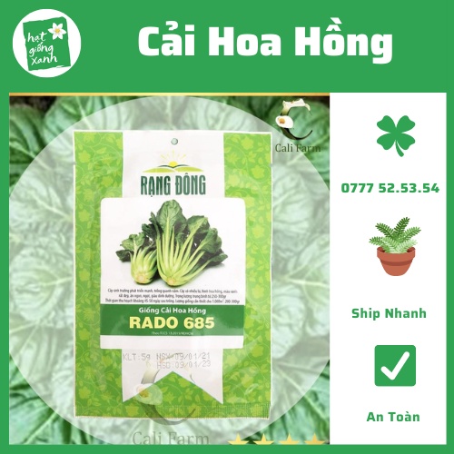 Hạt Giống Cải Hoa Hồng (2g) Nảy Mầm Chuẩn