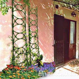 Thang CN trồng dây leo Tashuan TS464