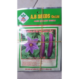 Hạt giống cà tím cơm xanh