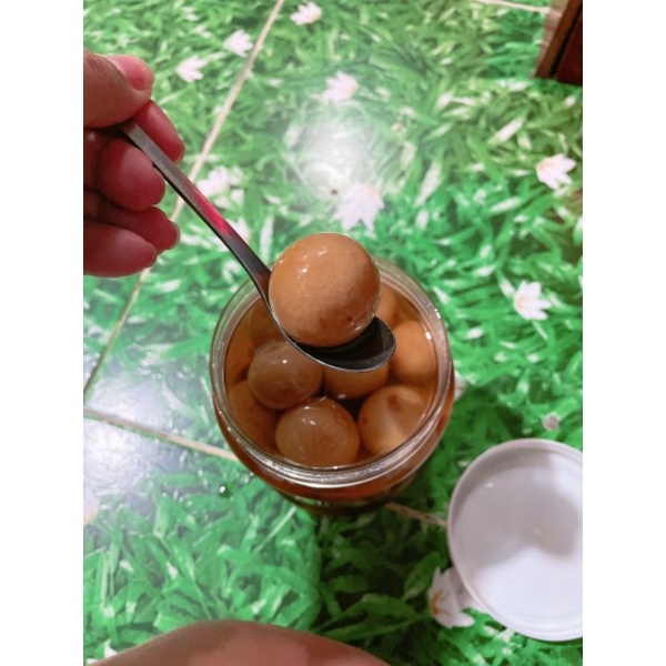 TẮC MUỐI NHÀ LÀM TRÁI SIÊU TO 500GRAM KHÔNG TÍNH NƯỚC