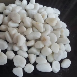 1kg Sỏi Trắng Trang Trí