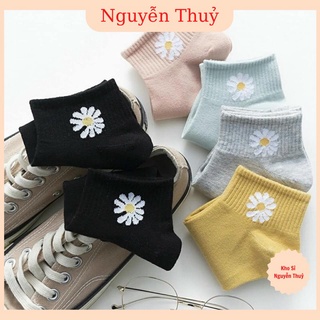 Combo 10 đôi tất vớ cổ ngắn hình hoa cúc
