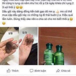 CẶP GỘI XÃ VÀ TINH DẦU BƯỞI MỌC TÓC
