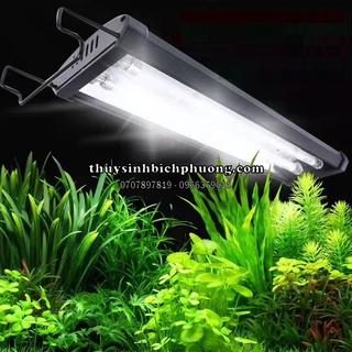 ĐÈN ODYSSEA 2 BÓNG T5H0 ÁNH SÁNG 10000k ÁNH SÁNG CHUYÊN ĐÈN HỒ CÁ THUỶ SINH