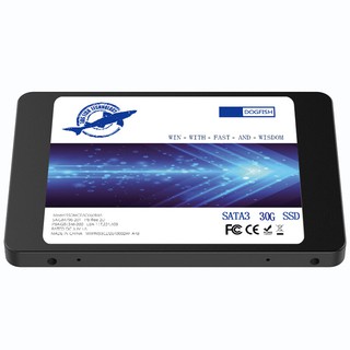 - Ổ cứng SSD 30GB Dogfish - Vietnet