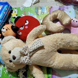 Gấu teddy bear
