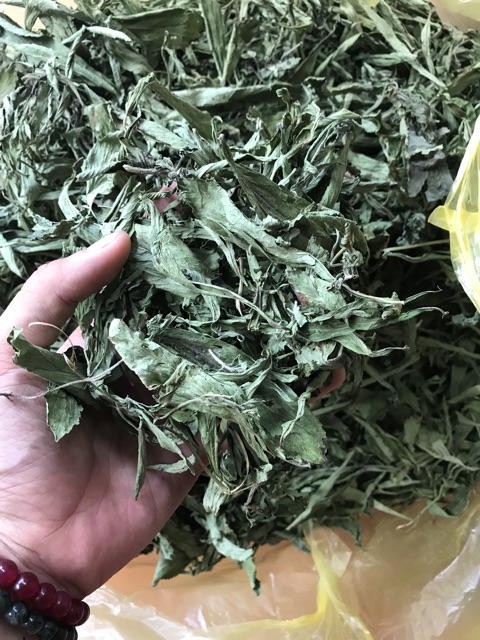 Trà cỏ ngọt lá | BigBuy360 - bigbuy360.vn