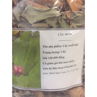 Combo 3 ký cây muối phơi khô hàng khô sạch