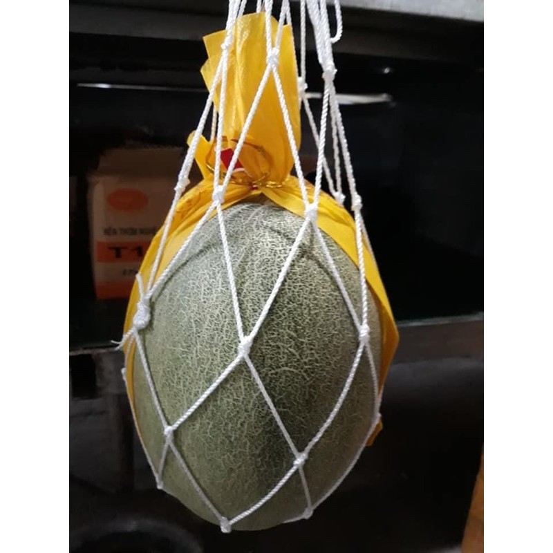 túi lưới đỡ dưa lưới( võng dưa)