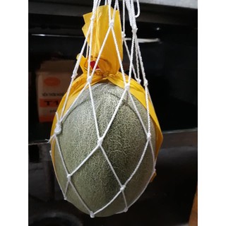 túi lưới đỡ dưa lưới( võng dưa)