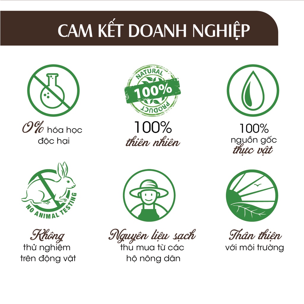 Tinh Dầu Quế 24Care dung tích 10ml/50ml/100ml/dạng treo 8ml - Tinh Dầu Xông Phòng, Khử Mùi, Đuổi Muỗi