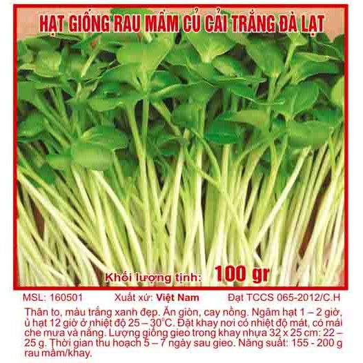 Hạt giống rau mầm củ cải trắng
