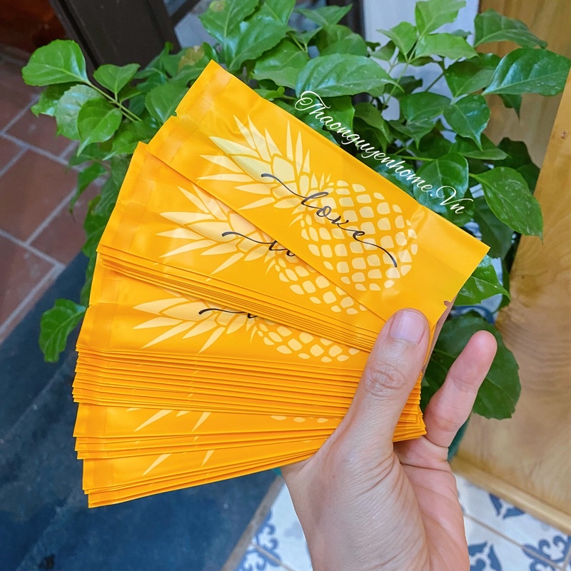 Khay túi đựng bánh dứa nhiều mẫu đẹp