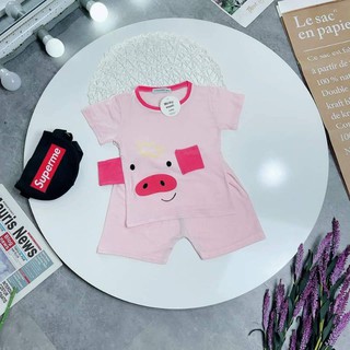 Bộ cọc tay thun lạnh tai thật