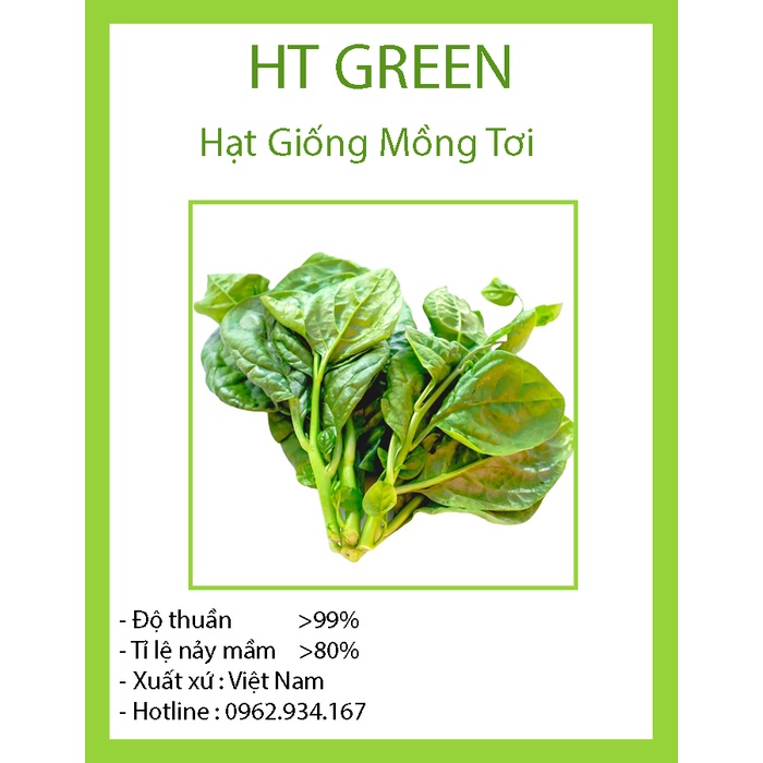 HẠT GIỐNG RAU MỒNG TƠI TXBTD