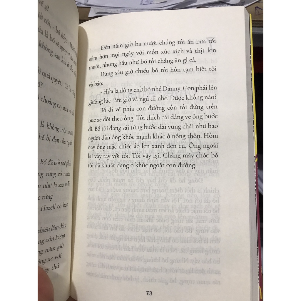 Sách - Danny nhà vô địch thế giới ( Kim Đồng )