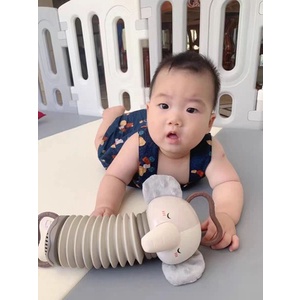 Đồ chơi âm nhạc cầm tay, nhạc cụ đàn Accordion, giáo dục sớm rèn luyên kỹ năng cầm nắm cho bé