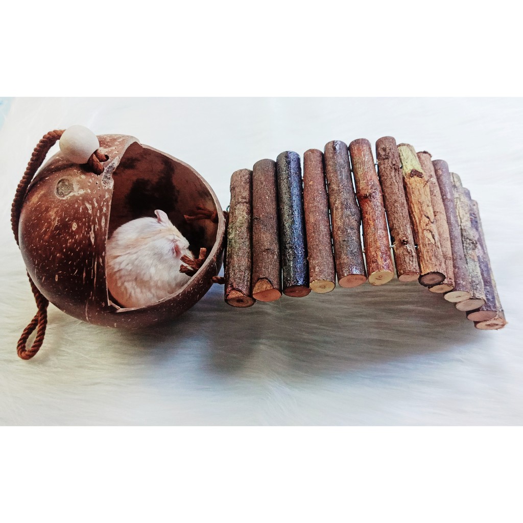 Nhà ngủ gáo dừa 3in1