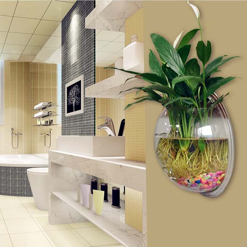 Bể cá treo tường / trồng cây bằng acrylic trang trí nhà đẹp mắt
