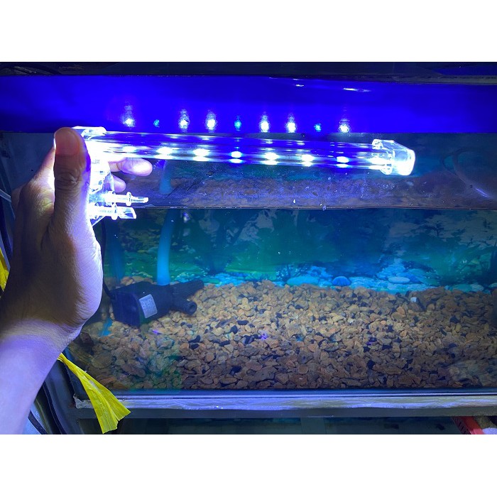 ĐÈN LED KẸP 1 BÊN BONESTAR TRANG TRÍ HỒ CÁ