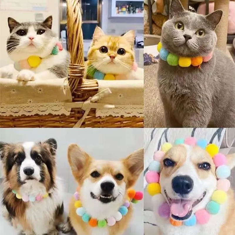 Vòng cổ trang trí banh lông xinh xắn dành cho thú cưng