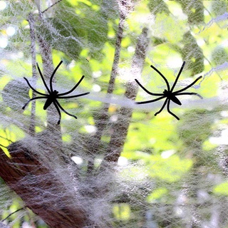 Mô hình con nhện giả trang trí hallowen
