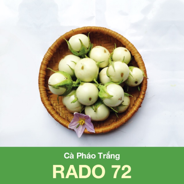 Hạt Giống Cà Pháo Trắng 72