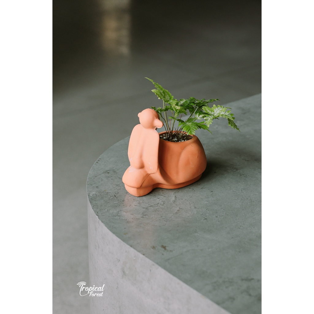 Chậu đất nung Vespa tay ga lượn lờ đánh võng TROPICALFOREST