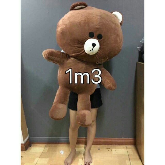 Brown  gấu bông