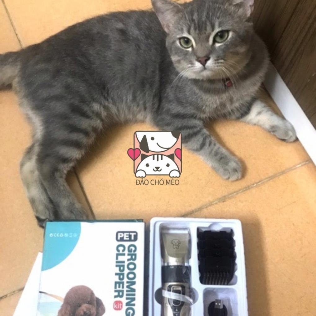 free ship Tông đơ chó mèo Chaoer - Full phụ kiện, tông đơ tỉa lông thú cưng nhập khẩu cao cấp - Hàng Chuẩn - Đảo Chó Mèo