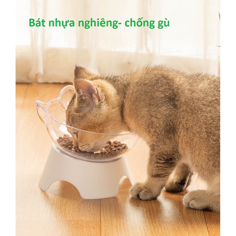 BÁT CHO CHÓ MÈO BÁT NHỰA NGHIÊNG ĐƠN - CHÉN ĐỰNG THỨC ĂN CHỐNG GÙ THÚ CƯNG NHỎ