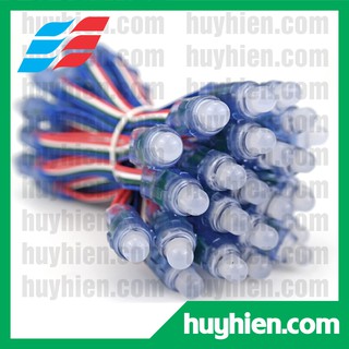Led đúc F8 7 màu RGB bọc nhựa (dây 50 Led F8 RGB)