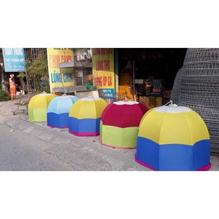 gà chọi màn chụp chống muỗi gió rét cho gà chọi