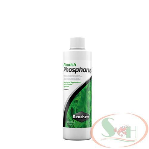 Phân Nước Thủy Sinh Seachem Flourish Phosphorus Bổ Sung Phosphate