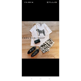 SET BỘ THUN COTTON HỌA TIẾT VẰN
