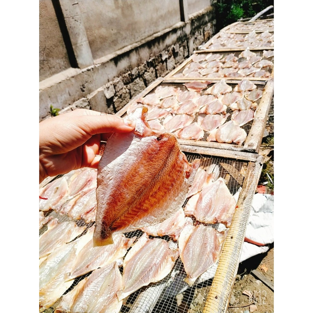 CÁ ĐÙ 1 NẮNG | BigBuy360 - bigbuy360.vn