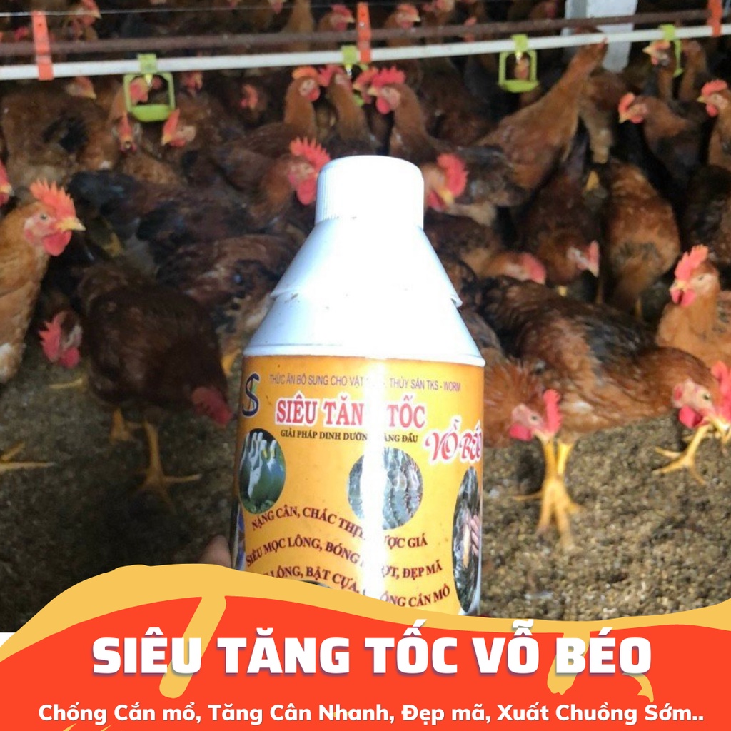 TKS-SIÊU TĂNG TỐC VỖ BÉO Chắc Thịt, Nặng Cân, Bung Đùi, Đẹp Mã - Chai 1 lít