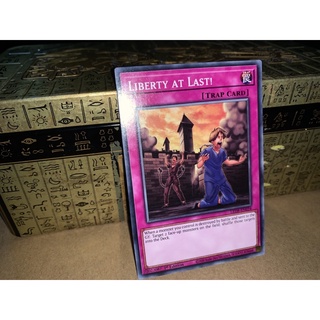 Thẻ bài: liberty at last!: led8-en034