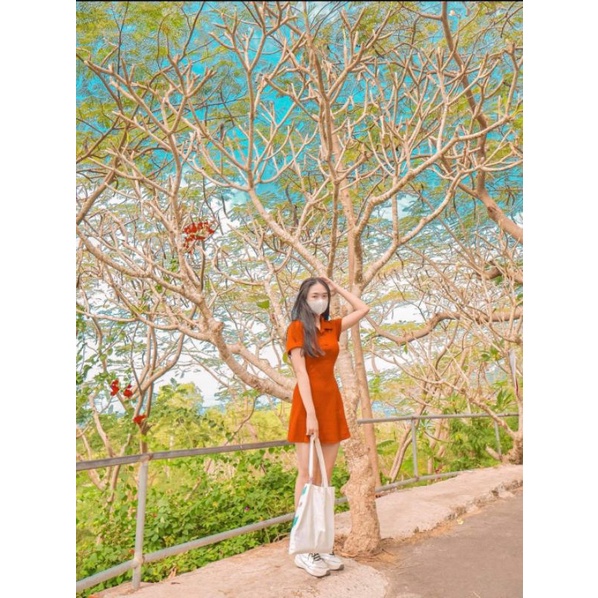 ĐẦM MIDI POLO xòe
