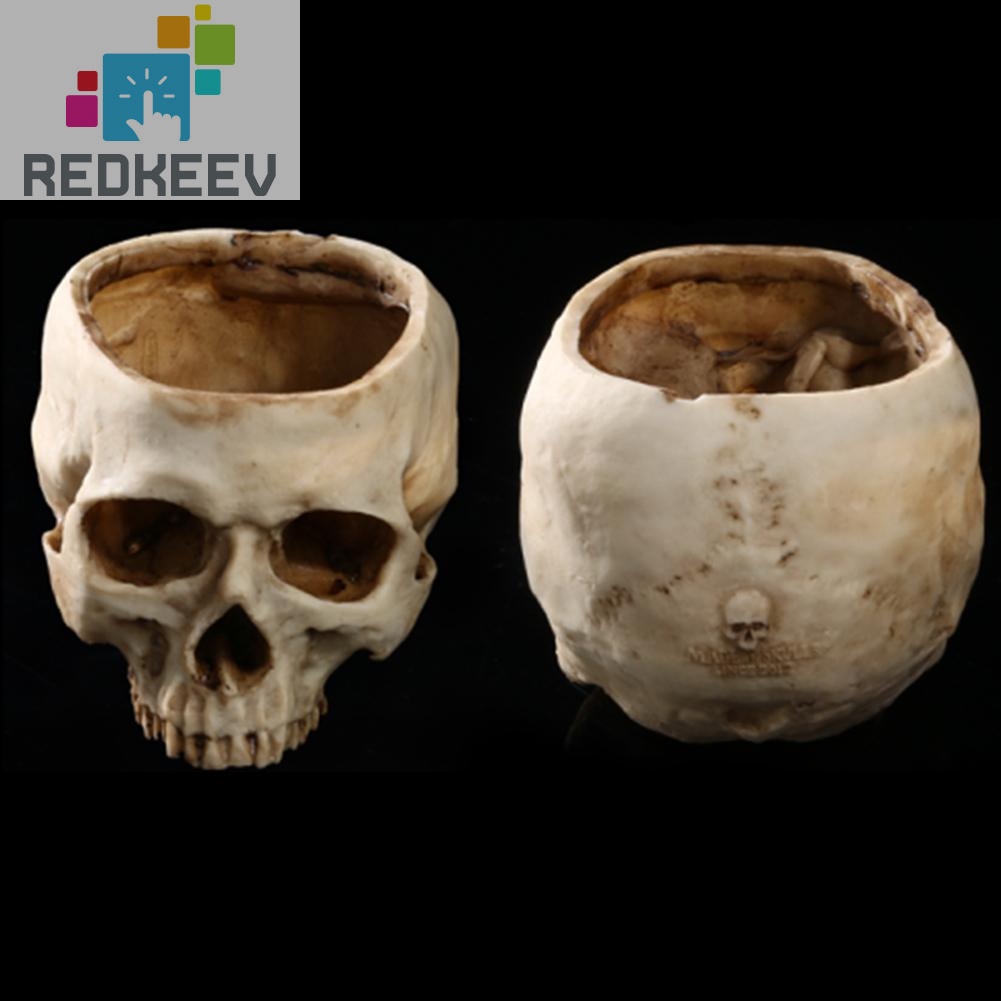 Chậu trồng cây bằng resin hình đầu lâu độc đáo