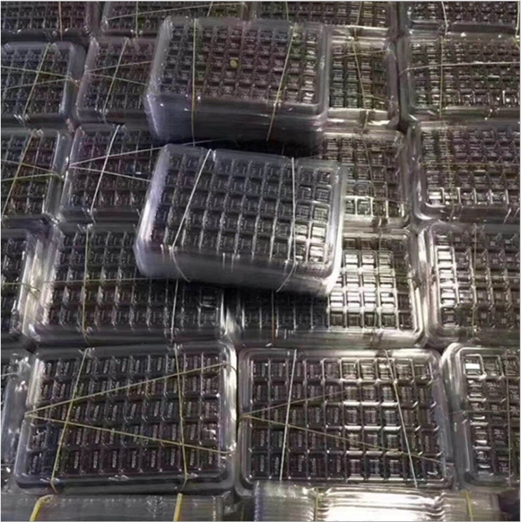 Bán buôn & Bán  lẻ thẻ nhớ Micro SD  4G/8G/16G/32G /64G chính hãng Class 10 | BigBuy360 - bigbuy360.vn