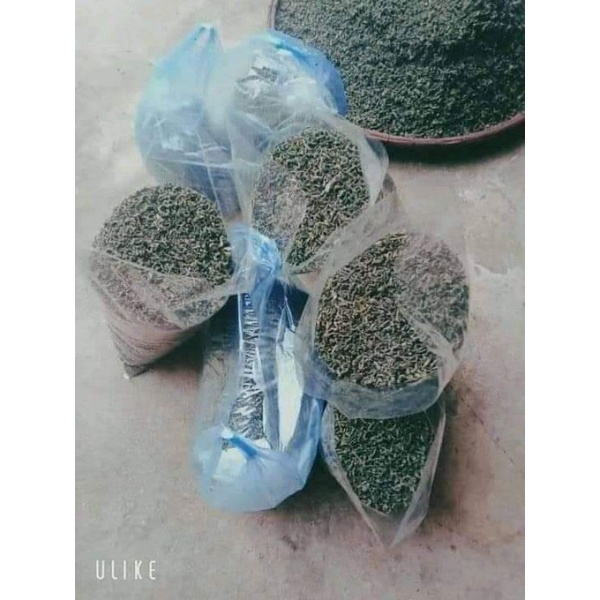 trà uống nước (chè quê)