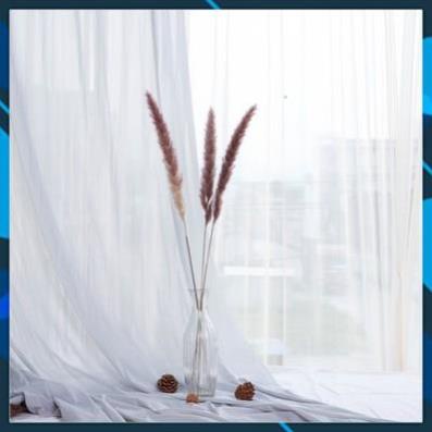 [CÓ QUÀ TẶNG] Cành cỏ lau Pampass Grass, trang trí để bàn, hoa khô decor (Nhiều màu) - Hoa Khô HuHa