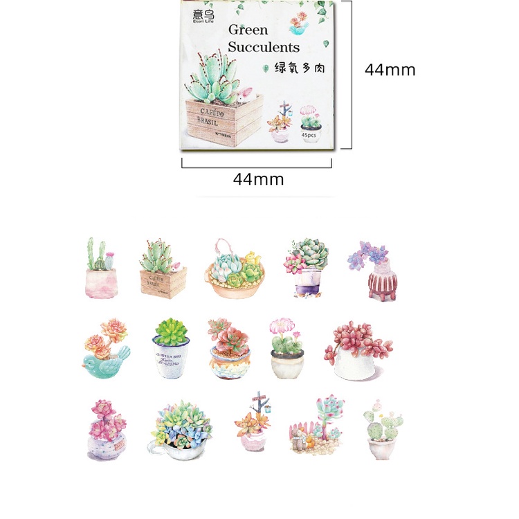 Sticker chủ đề Cây Xương Rồng - Hộp 45 miếng dán trang trí sổ tay Bullet Journal - M260