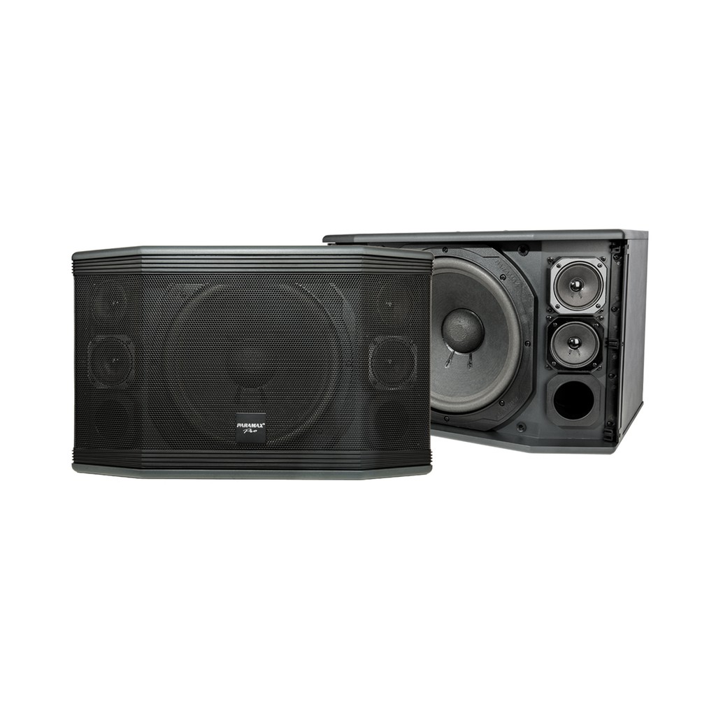 [Mã ELHACE giảm 4% đơn 300K] Loa Paramax Pro-C10